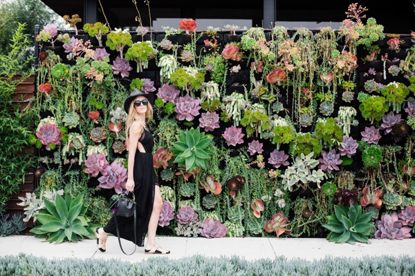 eatsleepwear, kimberly pesch, Venice Beach, Succulents, heartloom, glady tamez, chloe, saint laurent, celine