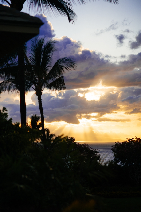 eatsleepwear, kimberly lapides, Maui, Hawaii, travel, Wailea, Hotel Wailea, Parker NY, Celine, ella moss, soludos