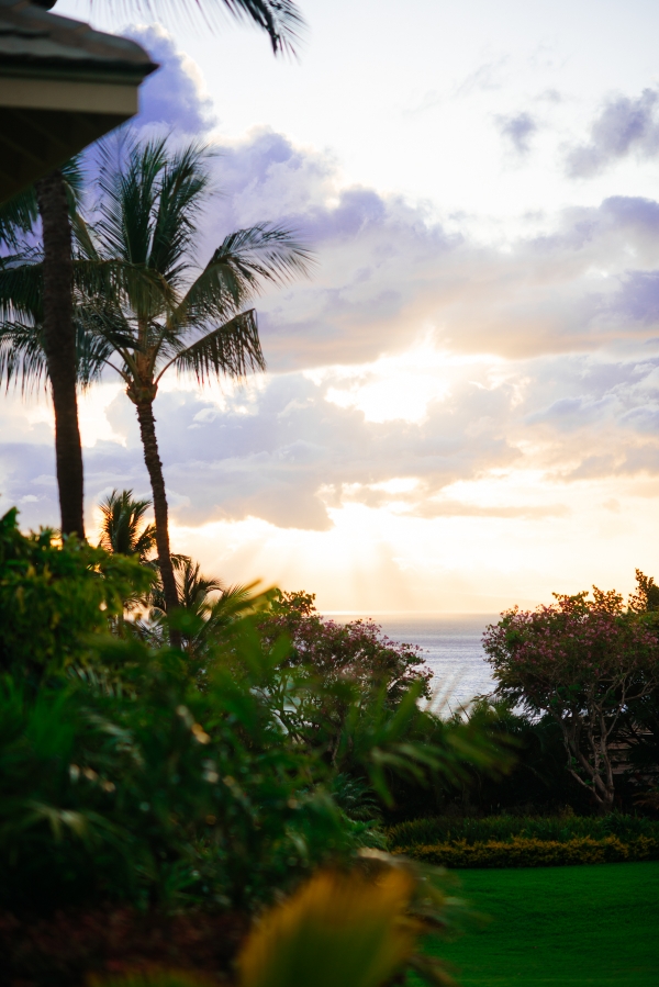 eatsleepwear, kimberly lapides, Maui, Hawaii, travel, Wailea, Hotel Wailea, Parker NY, Celine, ella moss, soludos