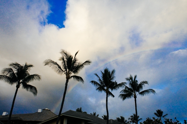 eatsleepwear, kimberly lapides, Maui, Hawaii, travel, Wailea, Hotel Wailea, Parker NY, Celine, ella moss, soludos