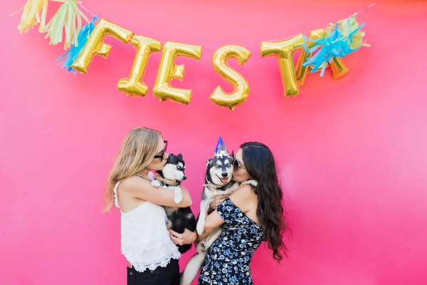 eatsleepwear-lola-miniaussie-dog-dogbirthday-dogparty-fiesta-kimberlylapides-23