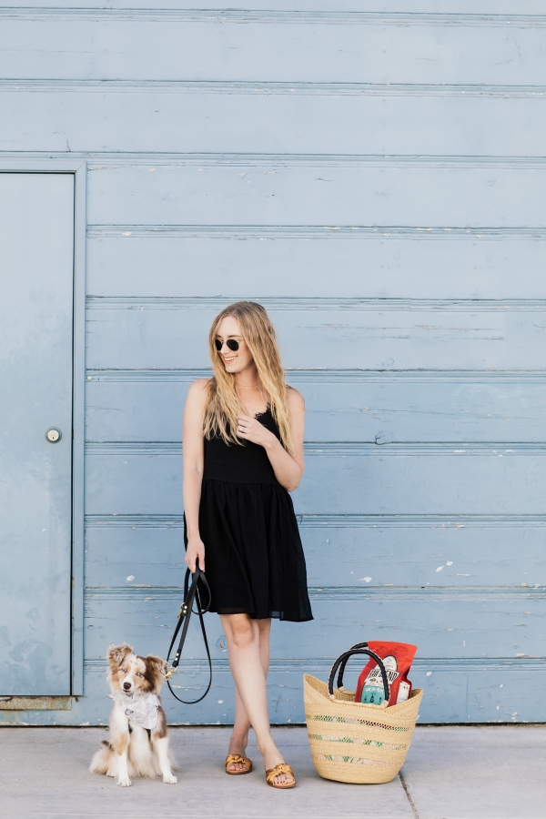 eatsleepwear, Kimberly Lapides, LOLA, Stella And Chewys, Dog Food