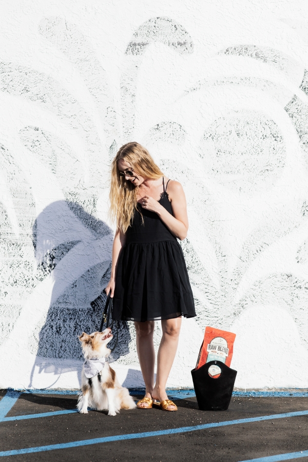eatsleepwear, Kimberly Lapides, LOLA, Stella And Chewys, Dog Food