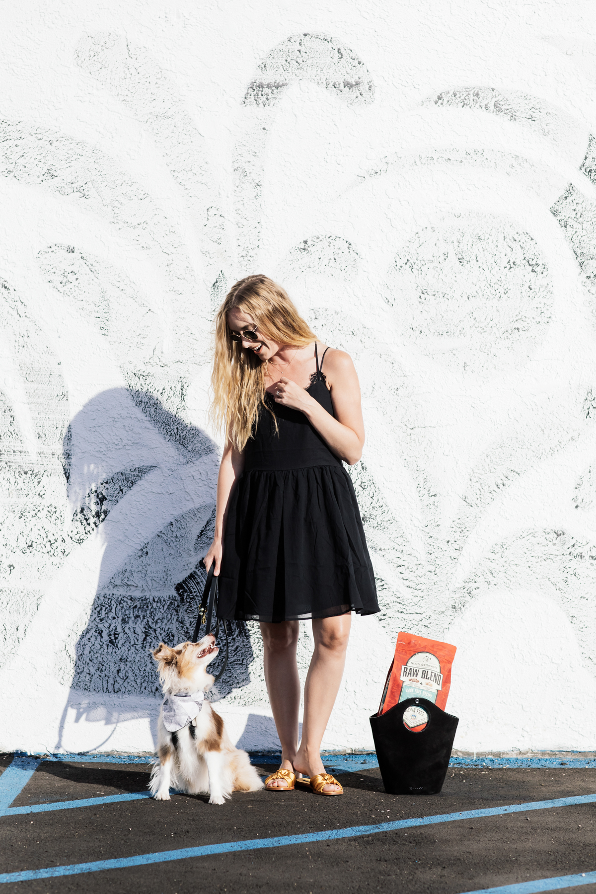 eatsleepwear, Kimberly Lapides, LOLA, Stella And Chewys, Dog Food