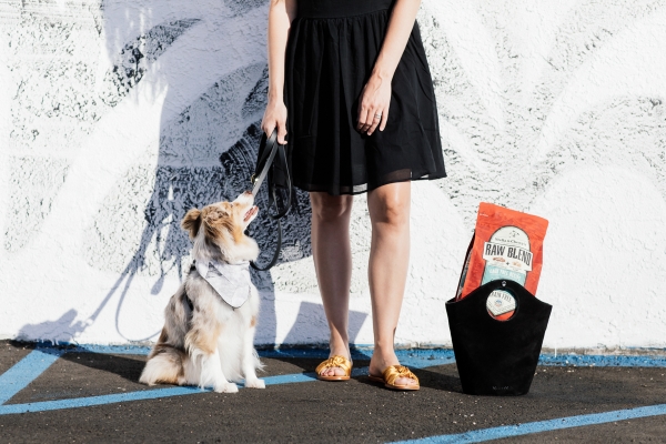 eatsleepwear, Kimberly Lapides, LOLA, Stella And Chewys, Dog Food
