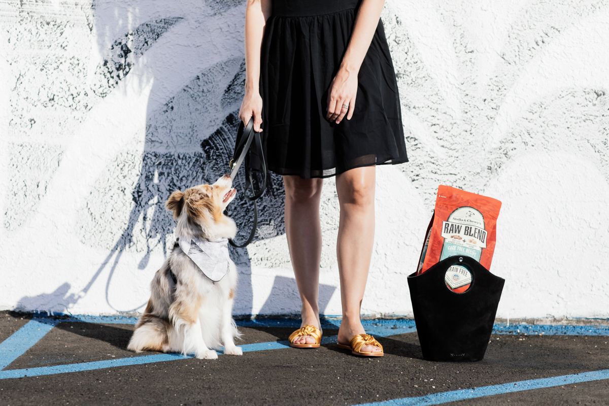 eatsleepwear, Kimberly Lapides, LOLA, Stella And Chewys, Dog Food