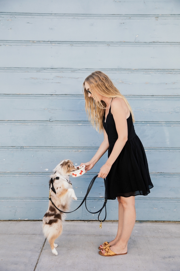 eatsleepwear, Kimberly Lapides, LOLA, Stella And Chewys, Dog Food