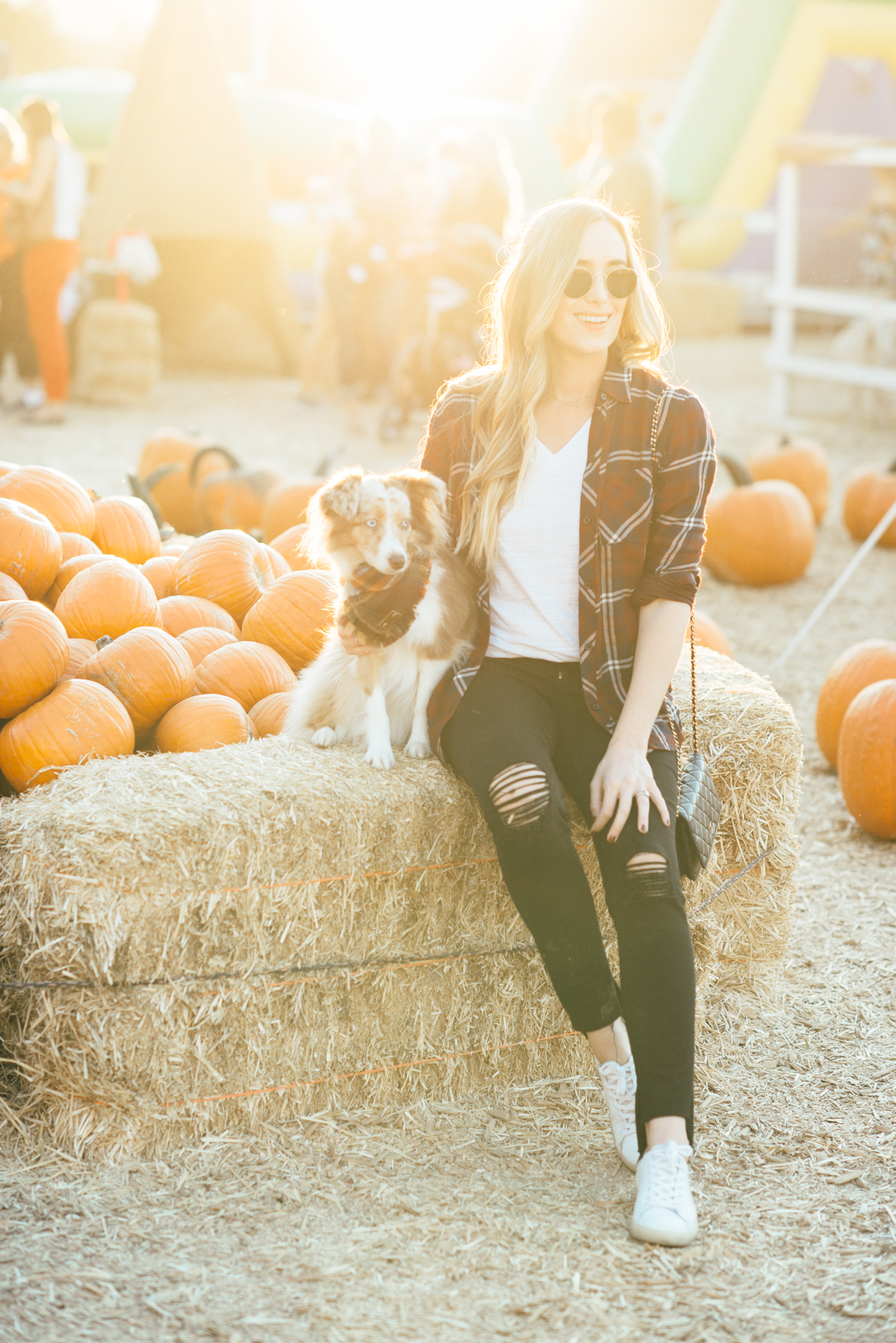 eatsleepwear, Kimberly Lapides, OUTFIT, Pumpkin Patch, Rails, Frame, Chanel, LNA, Rayban, IRO