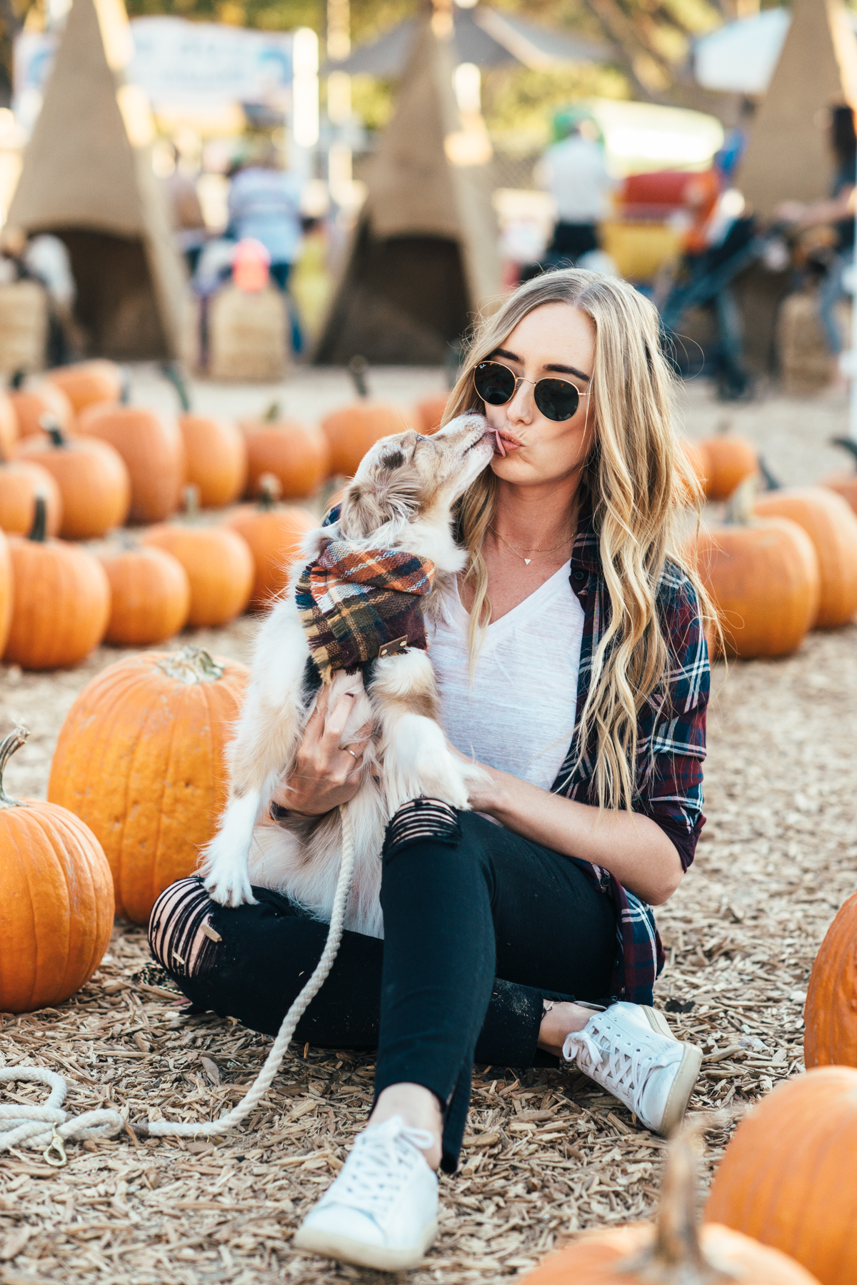 eatsleepwear, Kimberly Lapides, OUTFIT, Pumpkin Patch, Rails, Frame, Chanel, LNA, Rayban, IRO