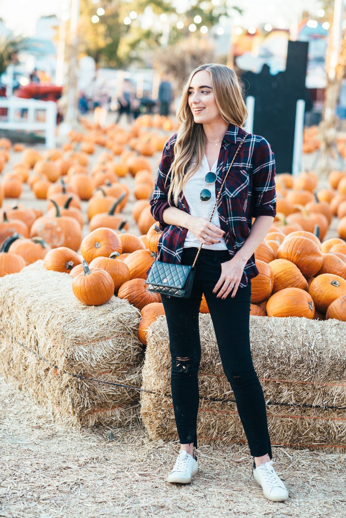 eatsleepwear, Kimberly Lapides, OUTFIT, Pumpkin Patch, Rails, Frame, Chanel, LNA, Rayban, IRO