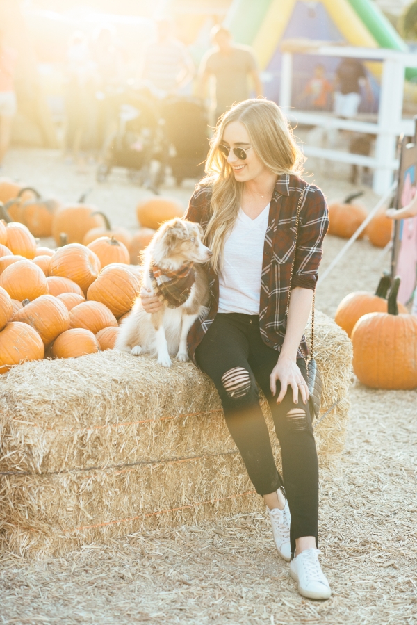 eatsleepwear, Kimberly Lapides, OUTFIT, Pumpkin Patch, Rails, Frame, Chanel, LNA, Rayban, IRO