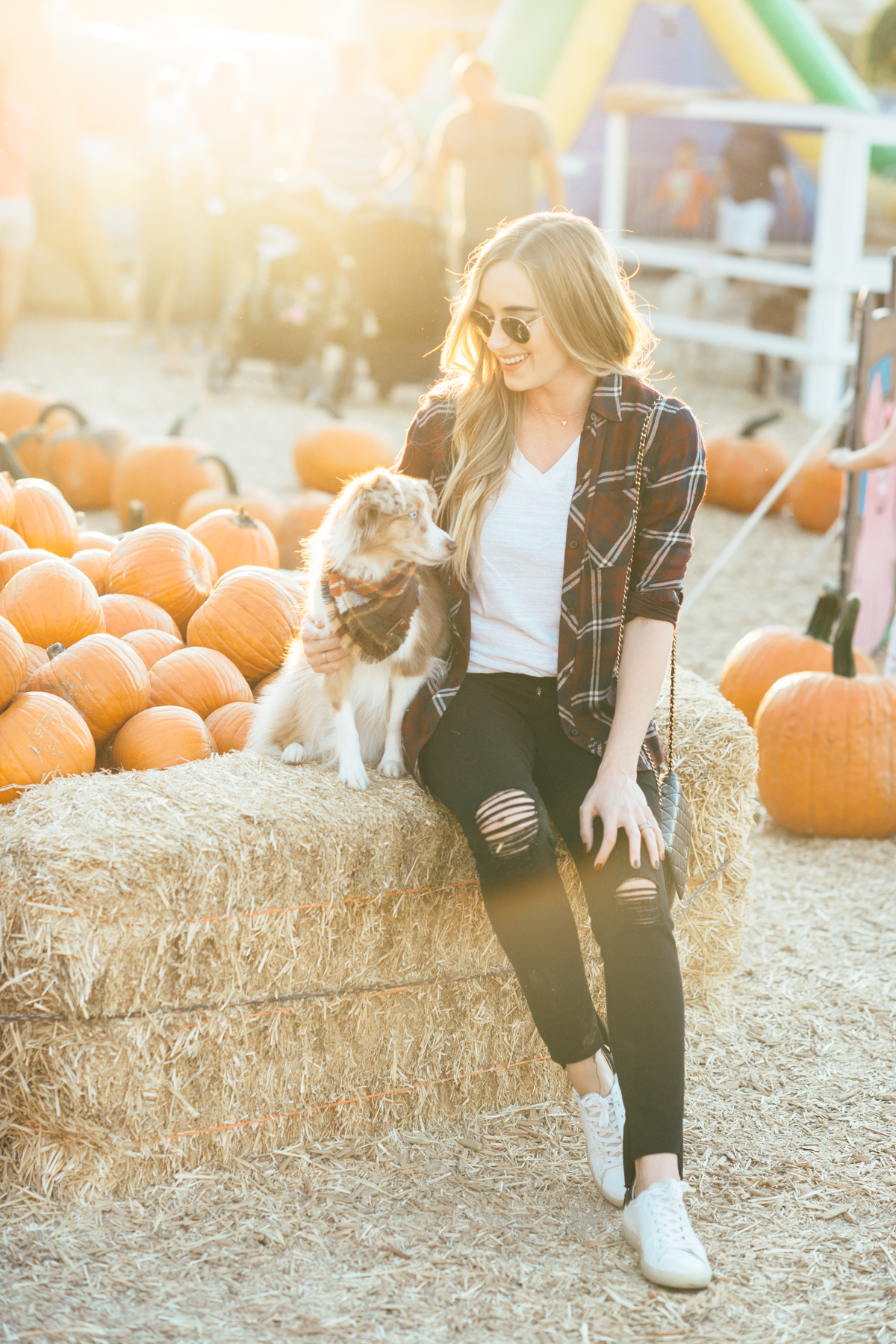 eatsleepwear, Kimberly Lapides, OUTFIT, Pumpkin Patch, Rails, Frame, Chanel, LNA, Rayban, IRO