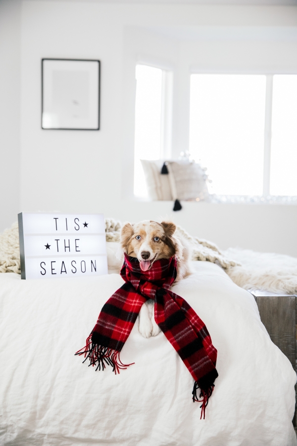 eatsleepwear, Kimberly Lapides, outfit, stein mart, holiday, gift guide, gifts