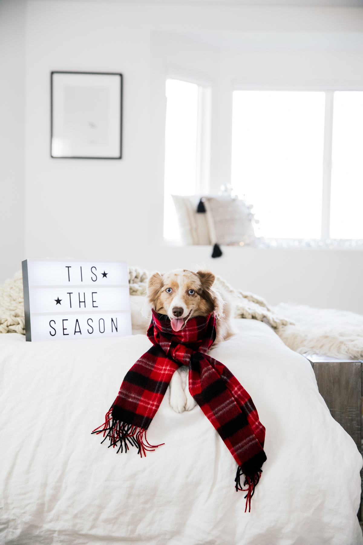 eatsleepwear, Kimberly Lapides, outfit, stein mart, holiday, gift guide, gifts