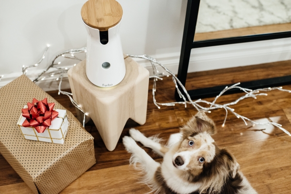eatsleepwear, Kimberly Lapides, Lola, Furbo, Holidays, Gift, Pets