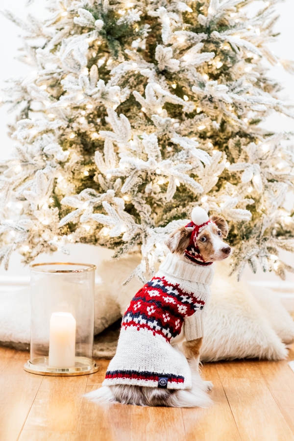 eatsleepwear, Kimberly Lapides, HOME, Holidays, Dog, Pet, Holiday