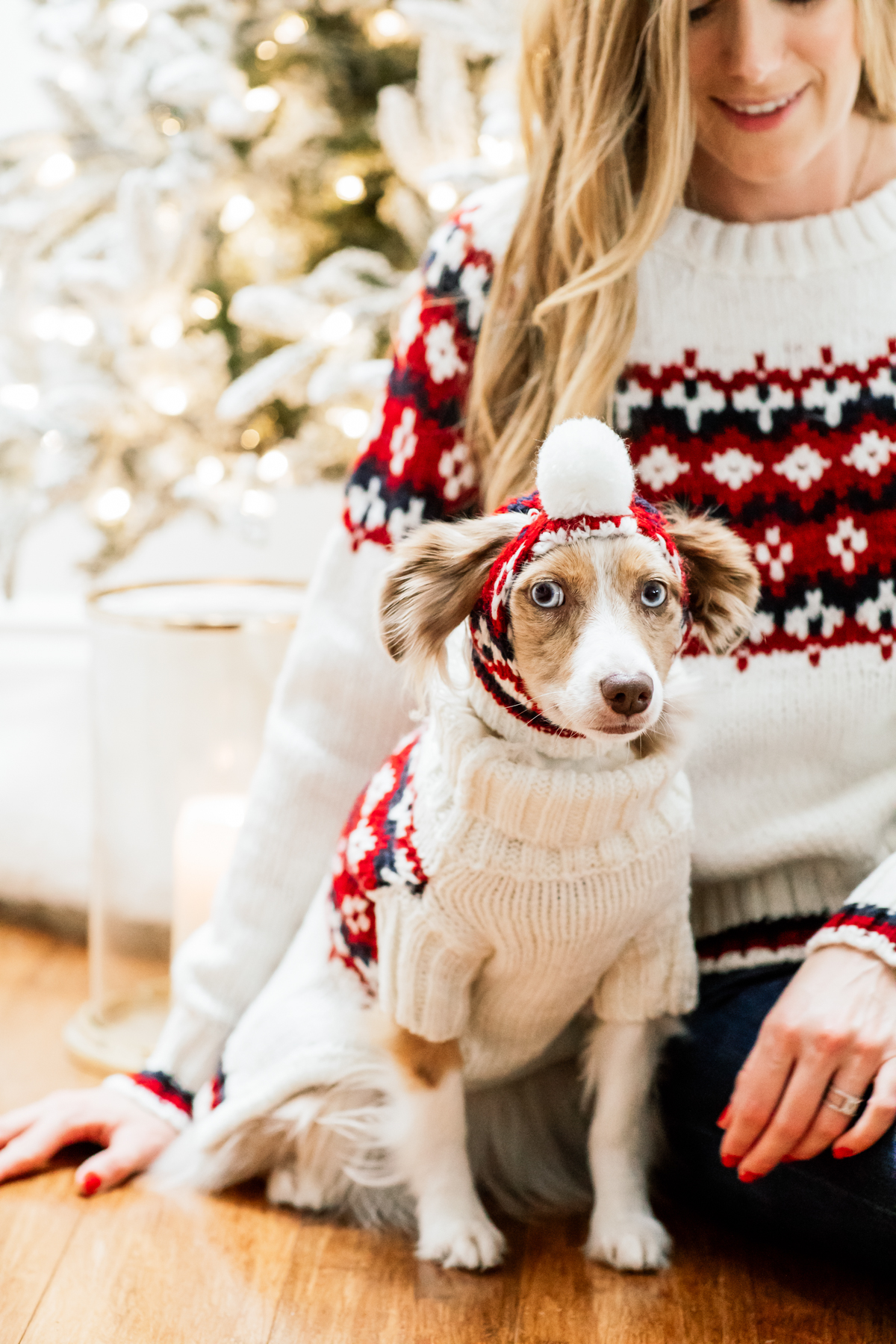 eatsleepwear, Kimberly Lapides, HOME, Holidays, Dog, Pet, Holiday