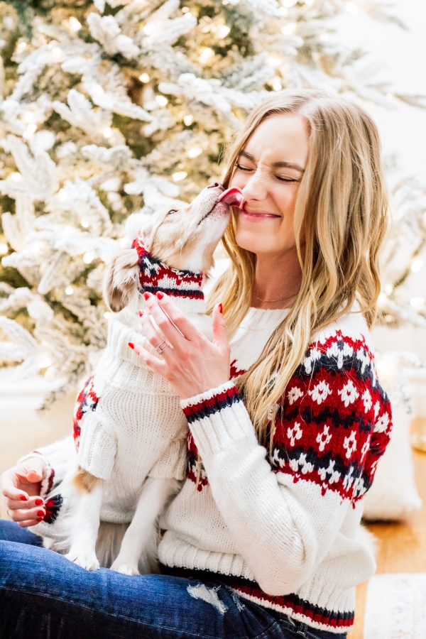 eatsleepwear, Kimberly Lapides, HOME, Holidays, Dog, Pet, Holiday