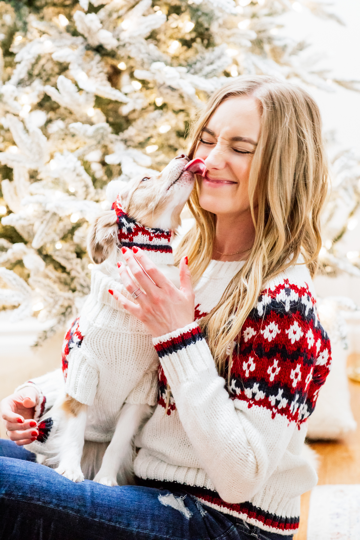 eatsleepwear, Kimberly Lapides, HOME, Holidays, Dog, Pet, Holiday