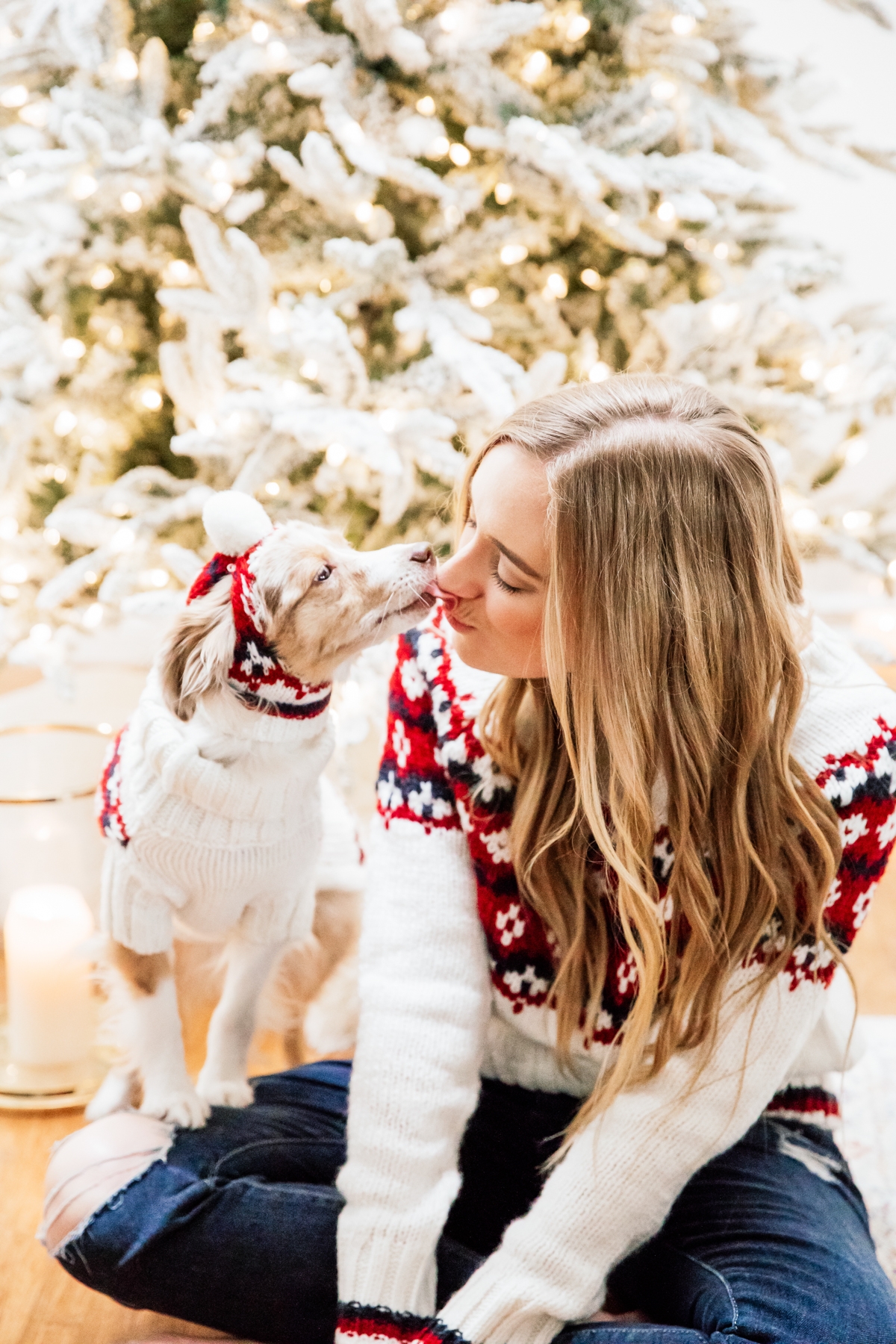 eatsleepwear, Kimberly Lapides, HOME, Holidays, Dog, Pet, Holiday