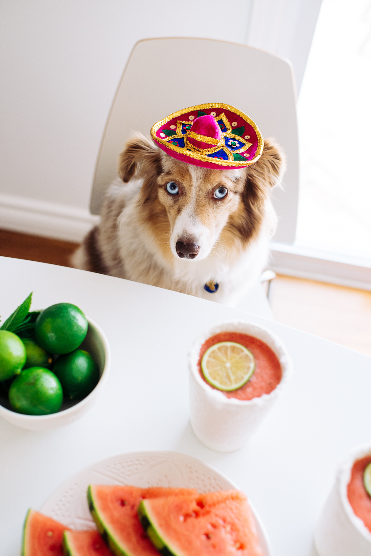 eatsleepwear, Kimberly Lapides, FOOD, Cocktail, Recipe, Watermelon Margarita, Mocktail