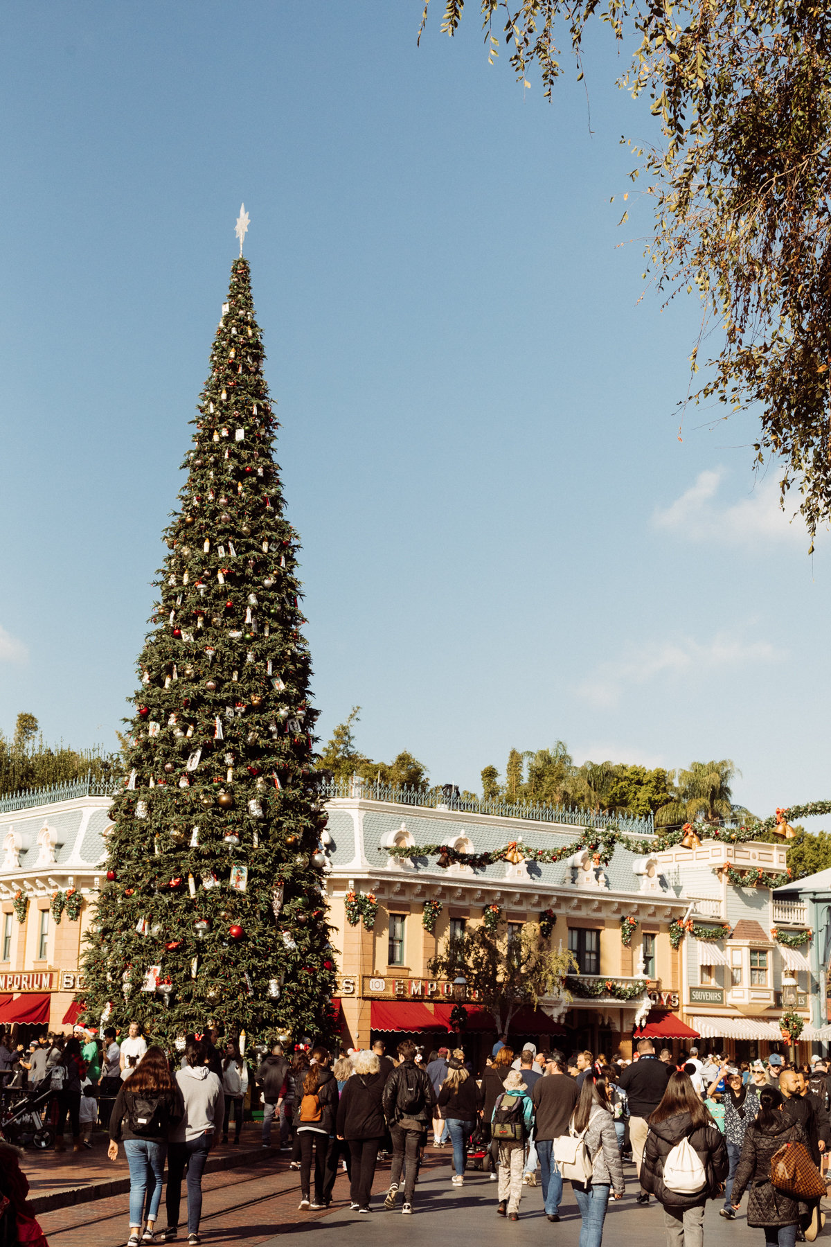 eatsleepwear kimberly lapides The holidays at Disneyland Resort holiday decor main street usa