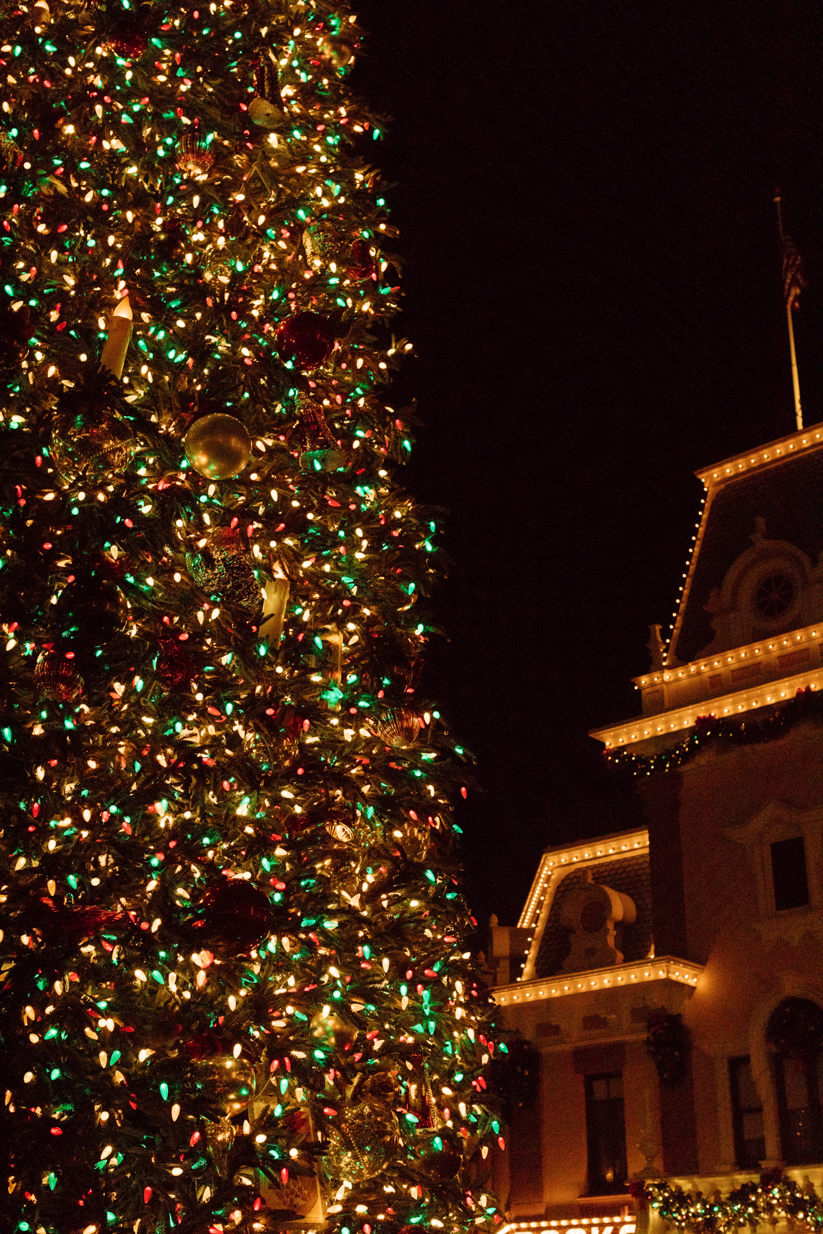 eatsleepwear kimberly lapides The holidays at Disneyland Resort holiday decor and main street usa christmas tree at night