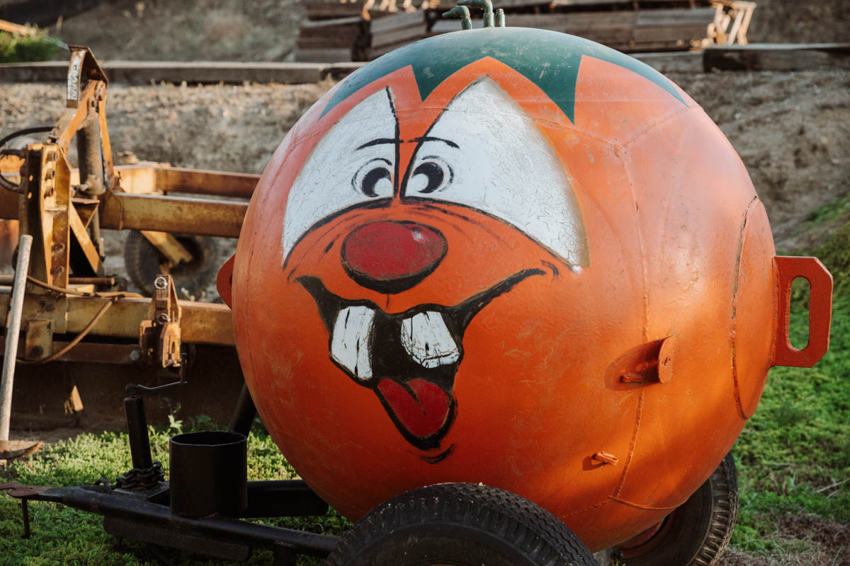 Hayride on tractor at Pumpkin Patch Photo shoot at Tanaka Farms
