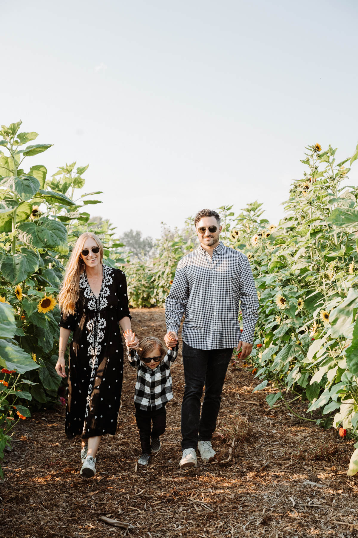 Sunflowers at Hayride on tractor at Pumpkin Patch Photo shoot at Tanaka Farms