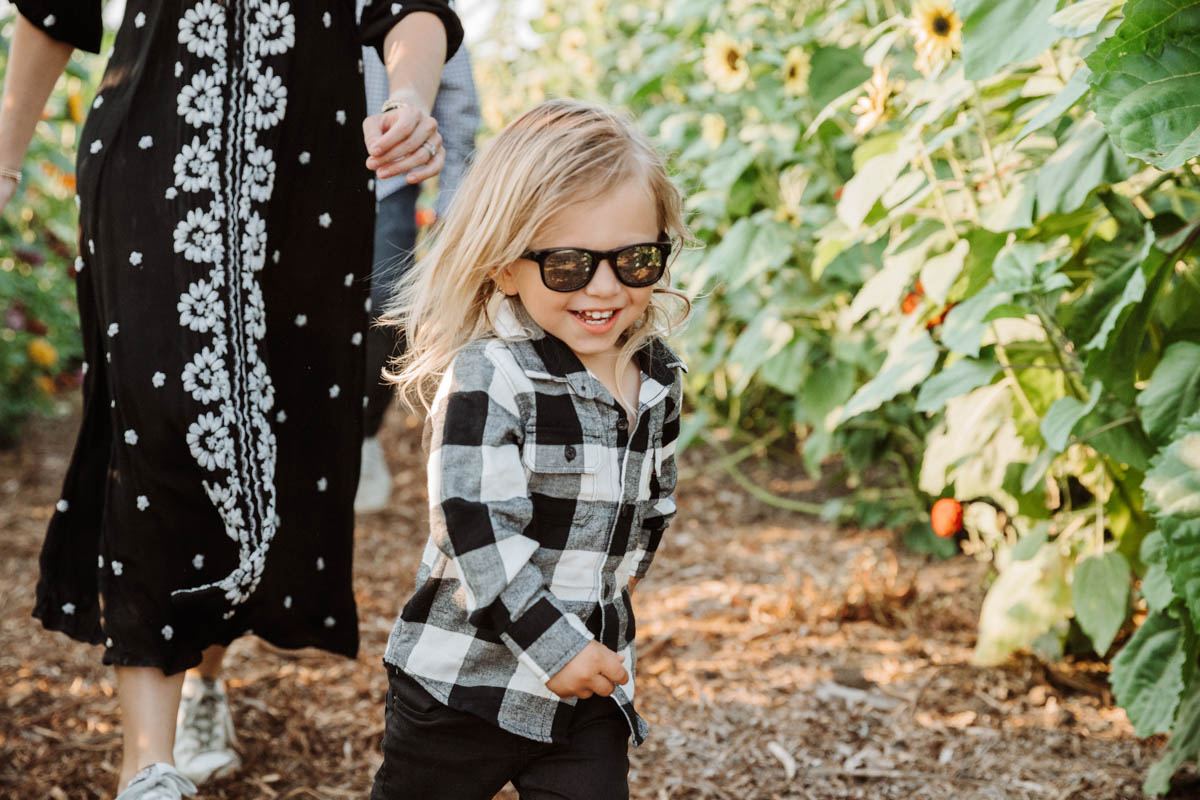 Sunflowers at Hayride on tractor at Pumpkin Patch Photo shoot at Tanaka Farms