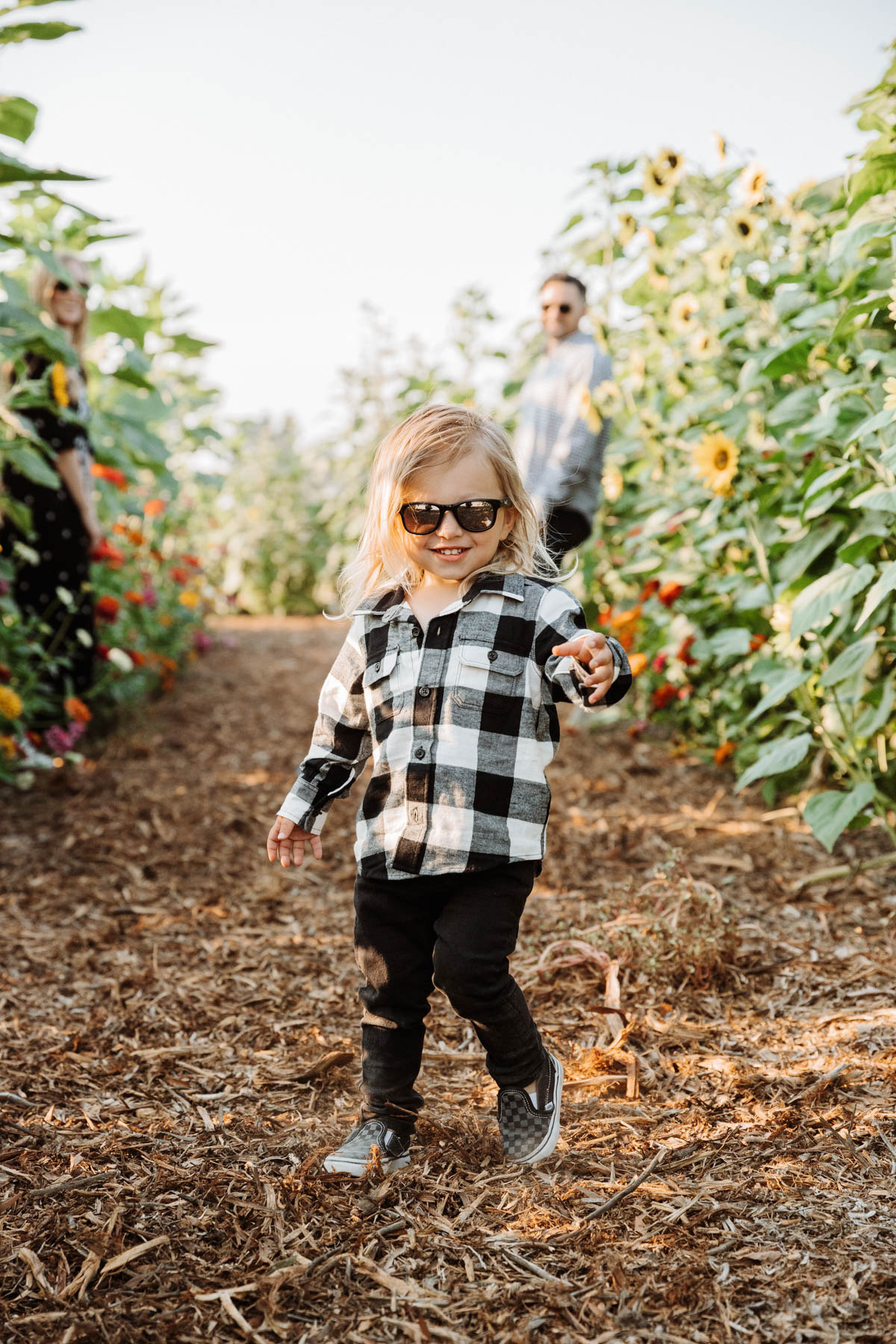 Sunflowers at Hayride on tractor at Pumpkin Patch Photo shoot at Tanaka Farms