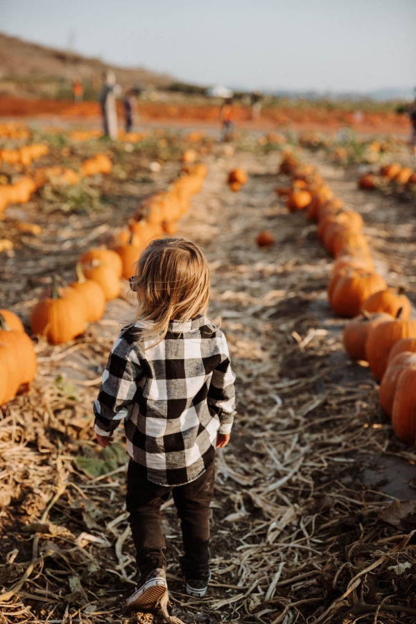 Hayride on tractor at Pumpkin Patch Photo shoot at Tanaka Farms