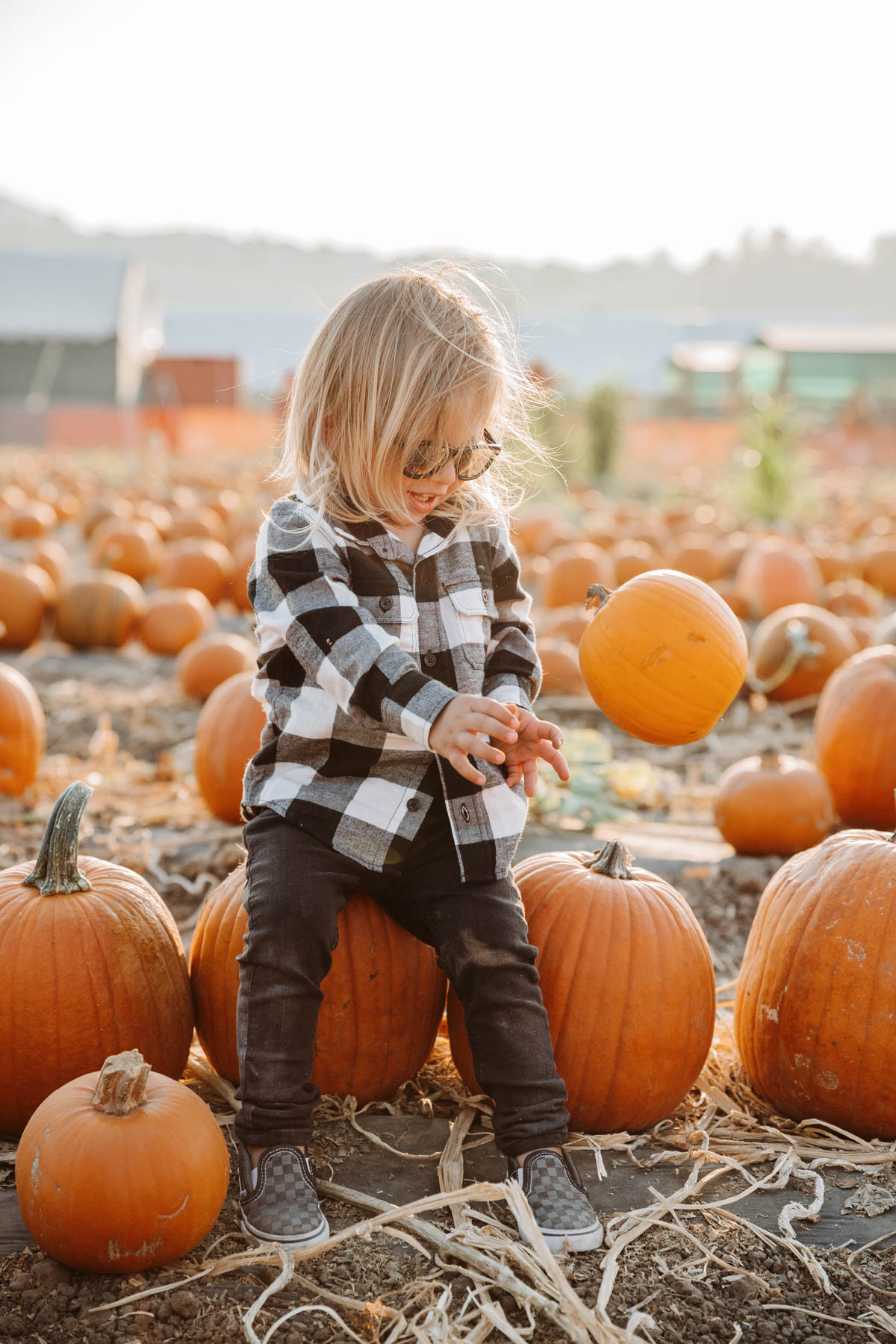 Hayride on tractor at Pumpkin Patch Photo shoot at Tanaka Farms
