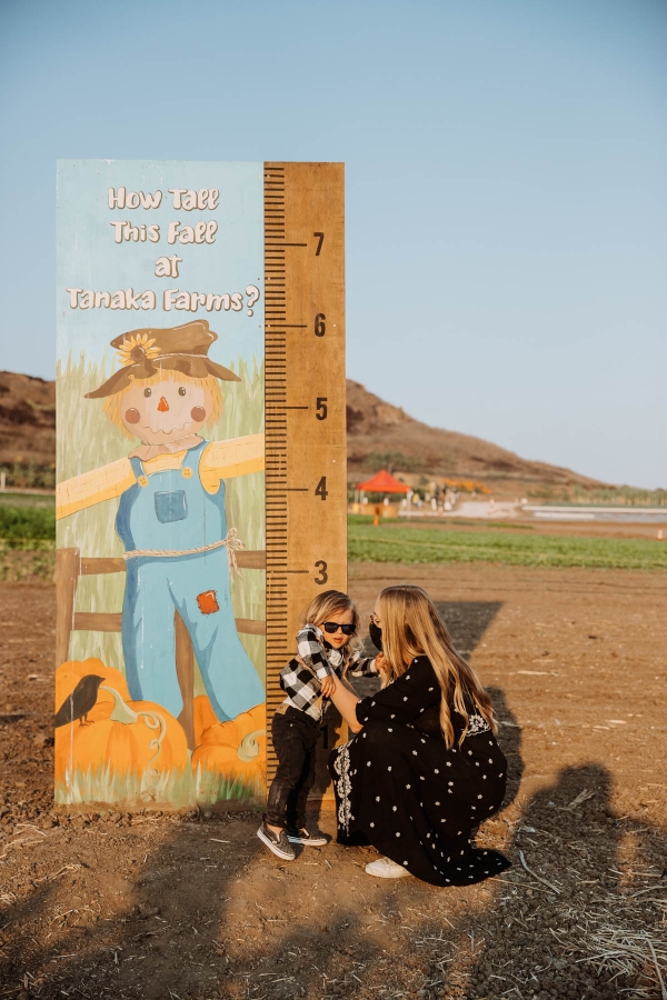 Pumpkin Patch Photo shoot at Tanaka Farms