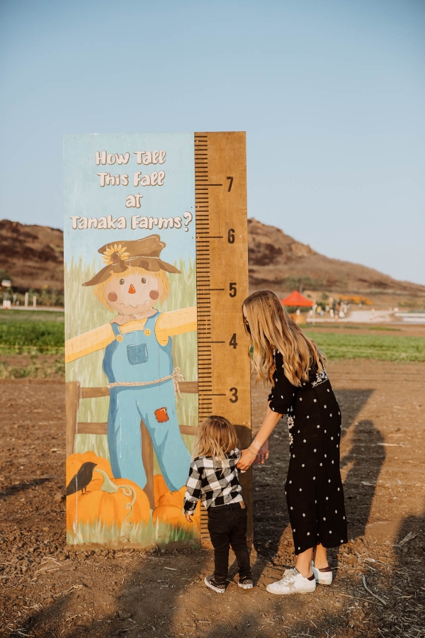 Pumpkin Patch Photo shoot at Tanaka Farms