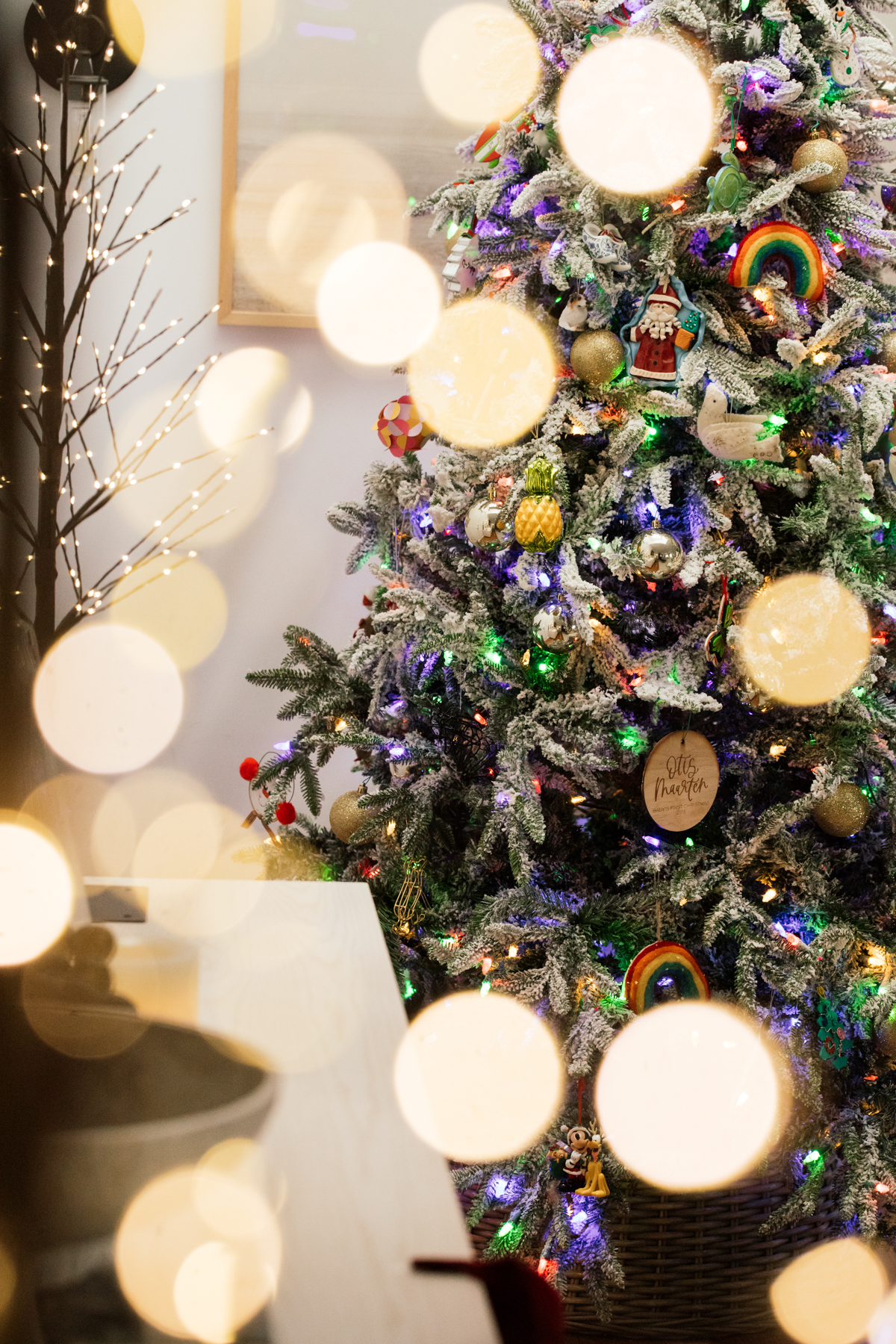 Indoor Holiday decor of twinkle lights tree and lit Christmas tree