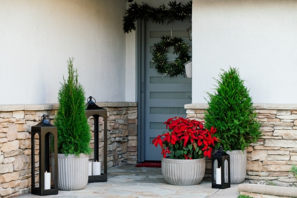 Outside Holiday Decor of wreath, garland and planted poinsettias 