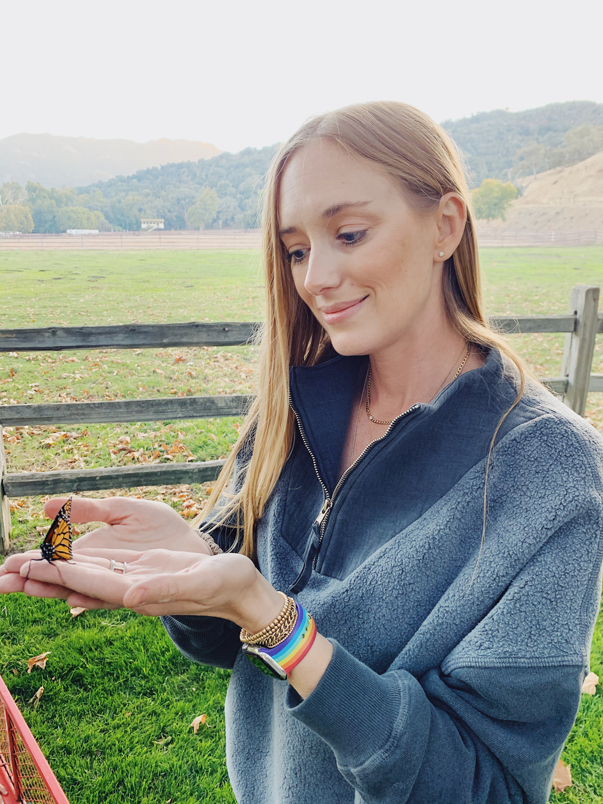 Monarch butterfly at Alisal Guest Ranch and Resort 