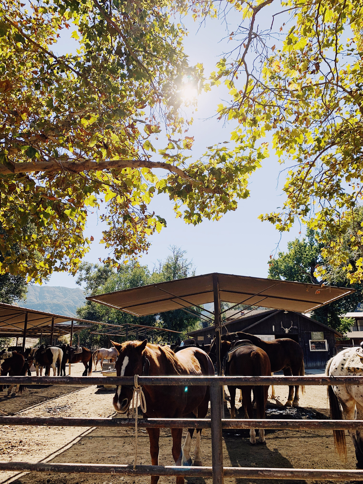 Horse stables at Alisal Guest Ranch and Resort 