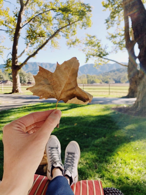 Fall at Alisal Guest Ranch and Resort 