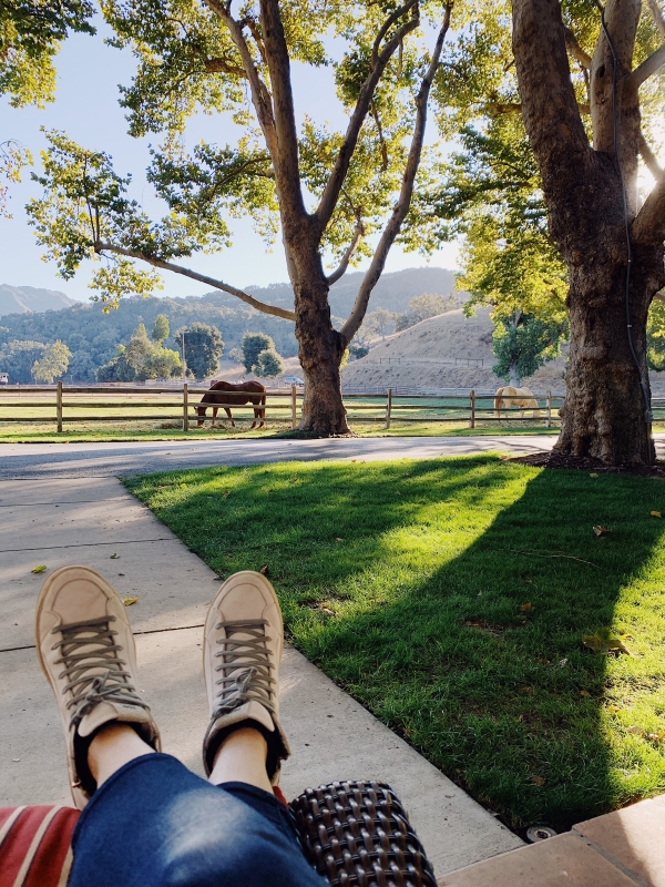 Horses view on porch of Suite at Alisal Guest Ranch and Resort 