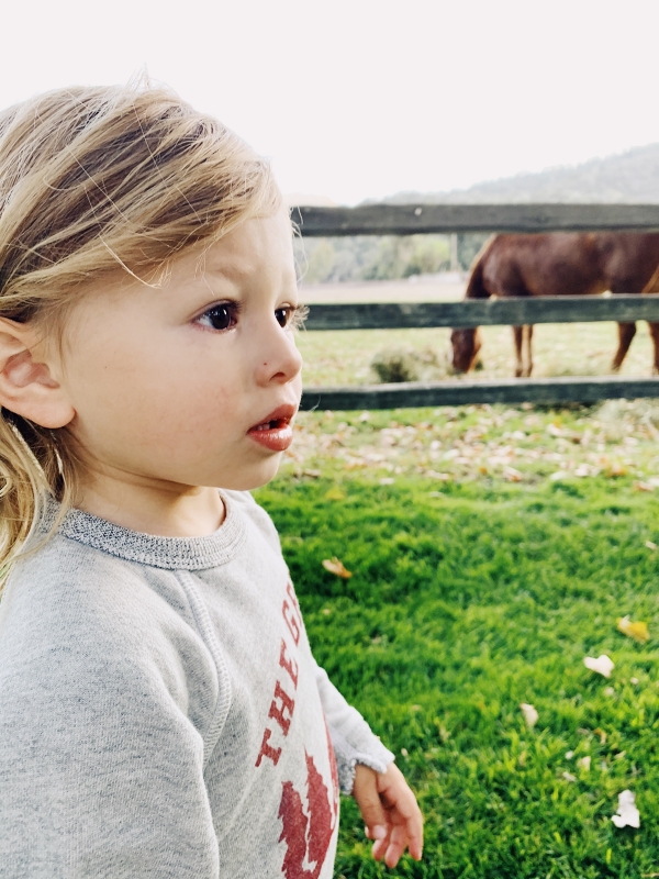 Toddler watching horses at Alisal Guest Ranch and Resort 