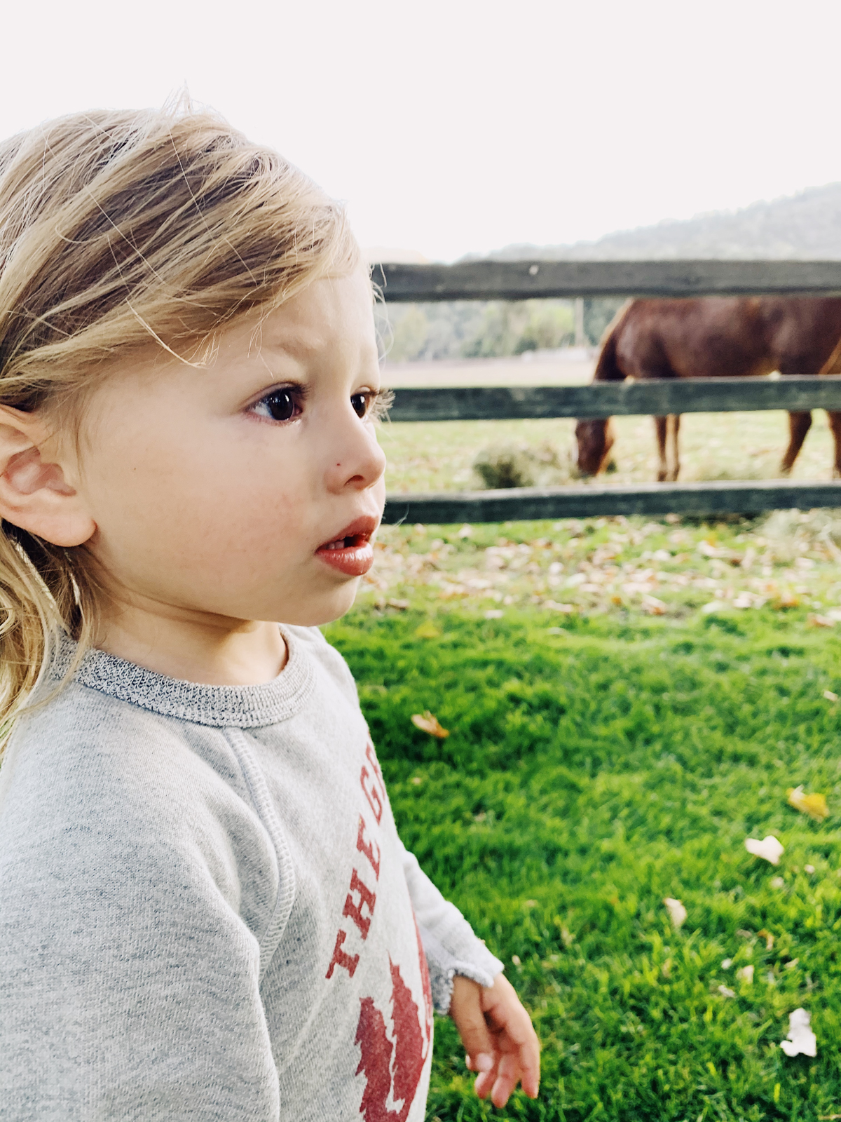 Toddler watching horses at Alisal Guest Ranch and Resort 