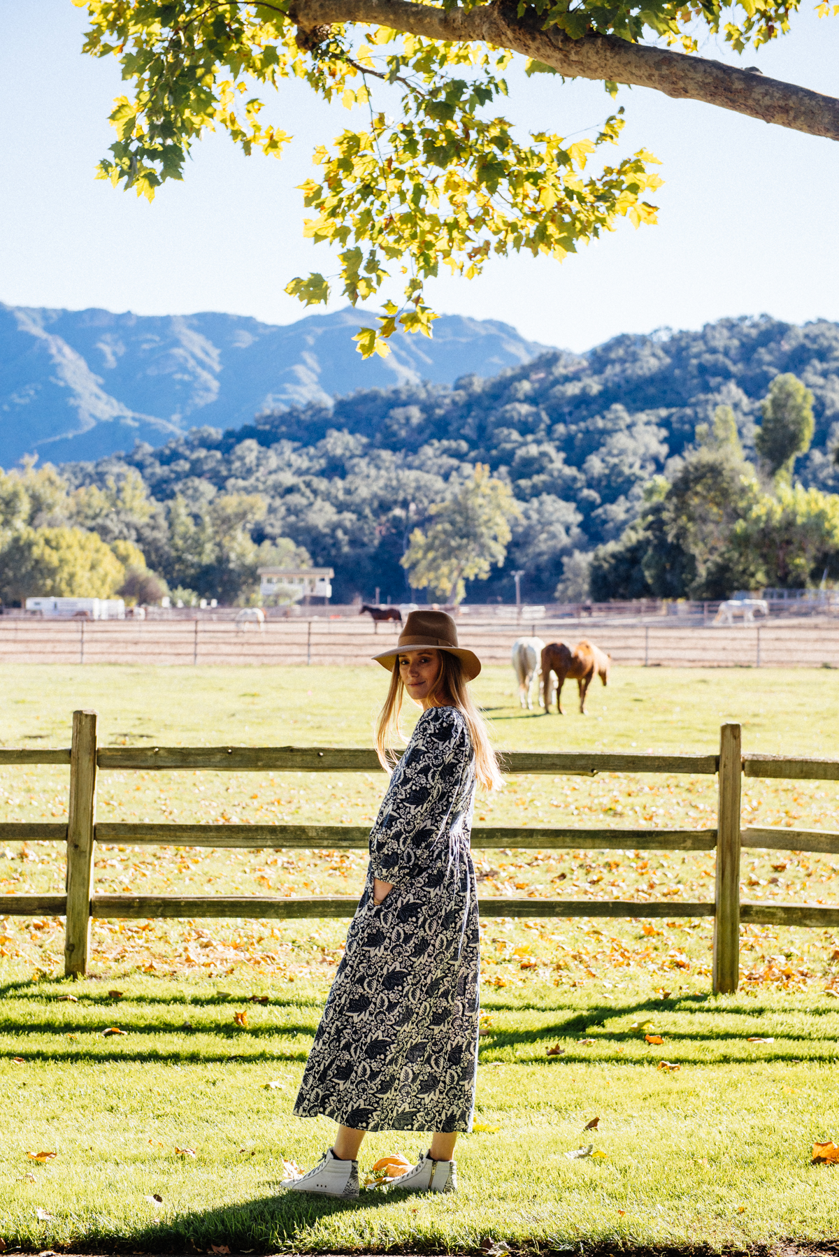 Watching horses at sunset at Alisal Guest Ranch and Resort 