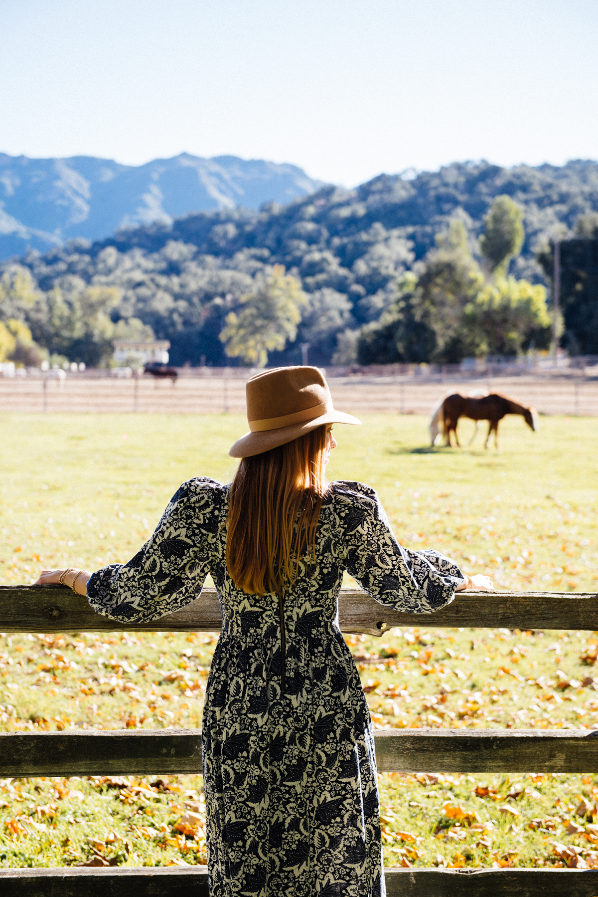 Watching horses at sunset at Alisal Guest Ranch and Resort 