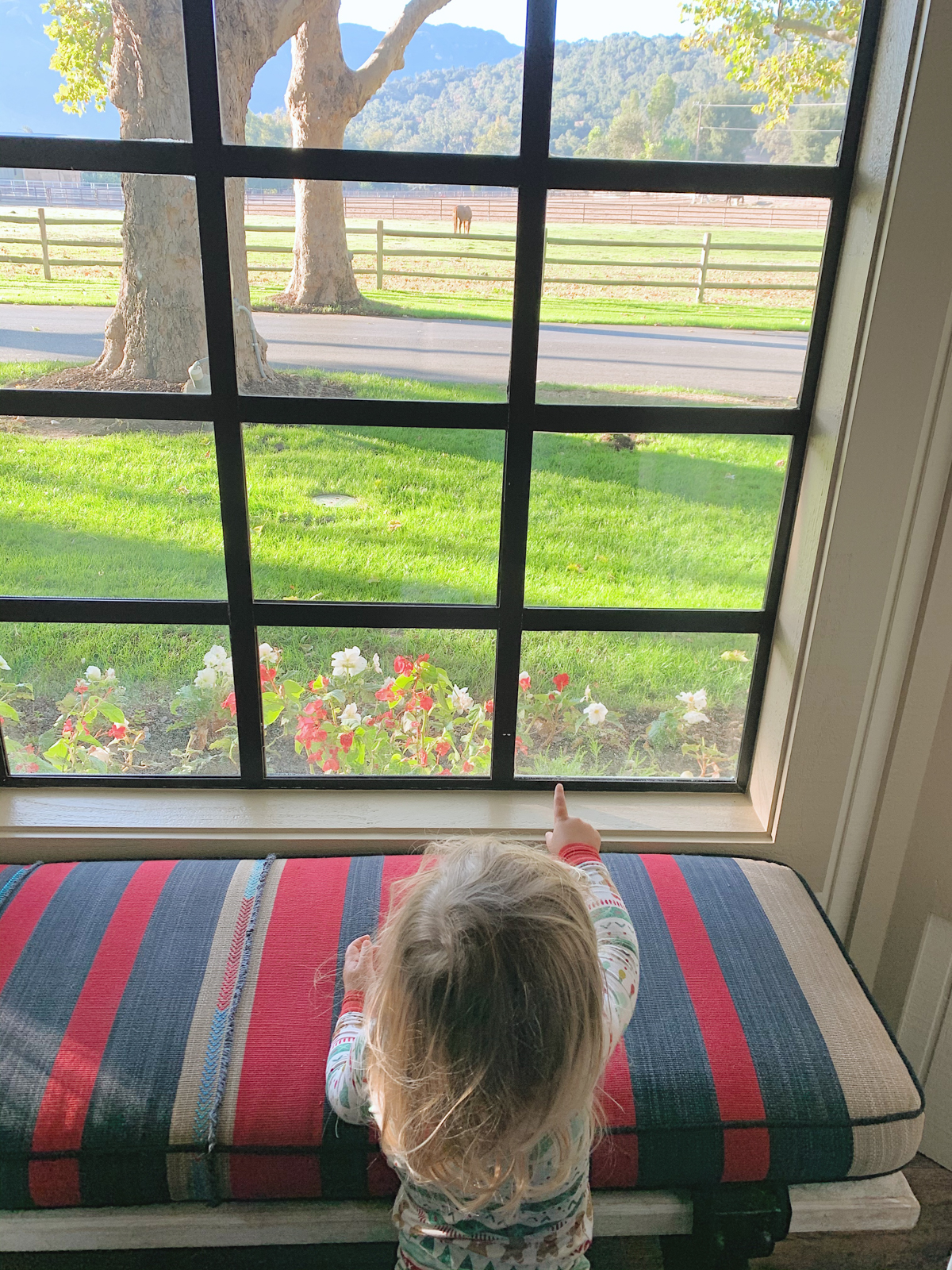 View of horses inside Suite at Alisal Guest Ranch and Resort 