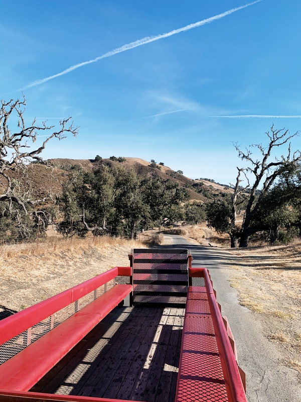 Mother and son on wagon ride to breakfast at Alisal Guest Ranch and Resort 