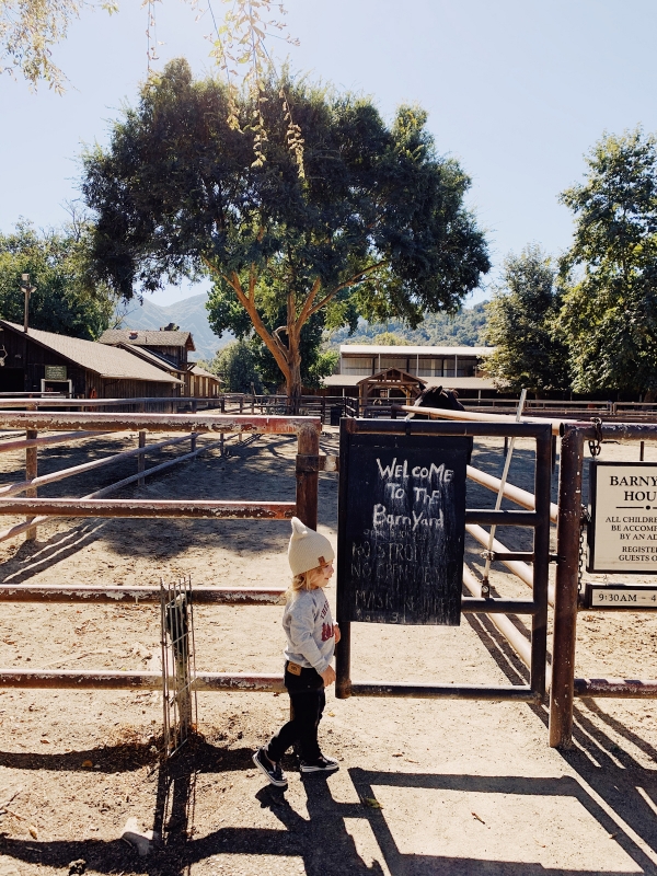 Kids barnyard at Alisal Guest Ranch and Resort 