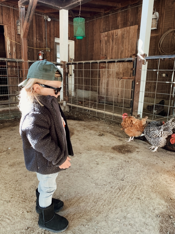 Toddler at kids Barnyard at Alisal Guest Ranch and Resort 