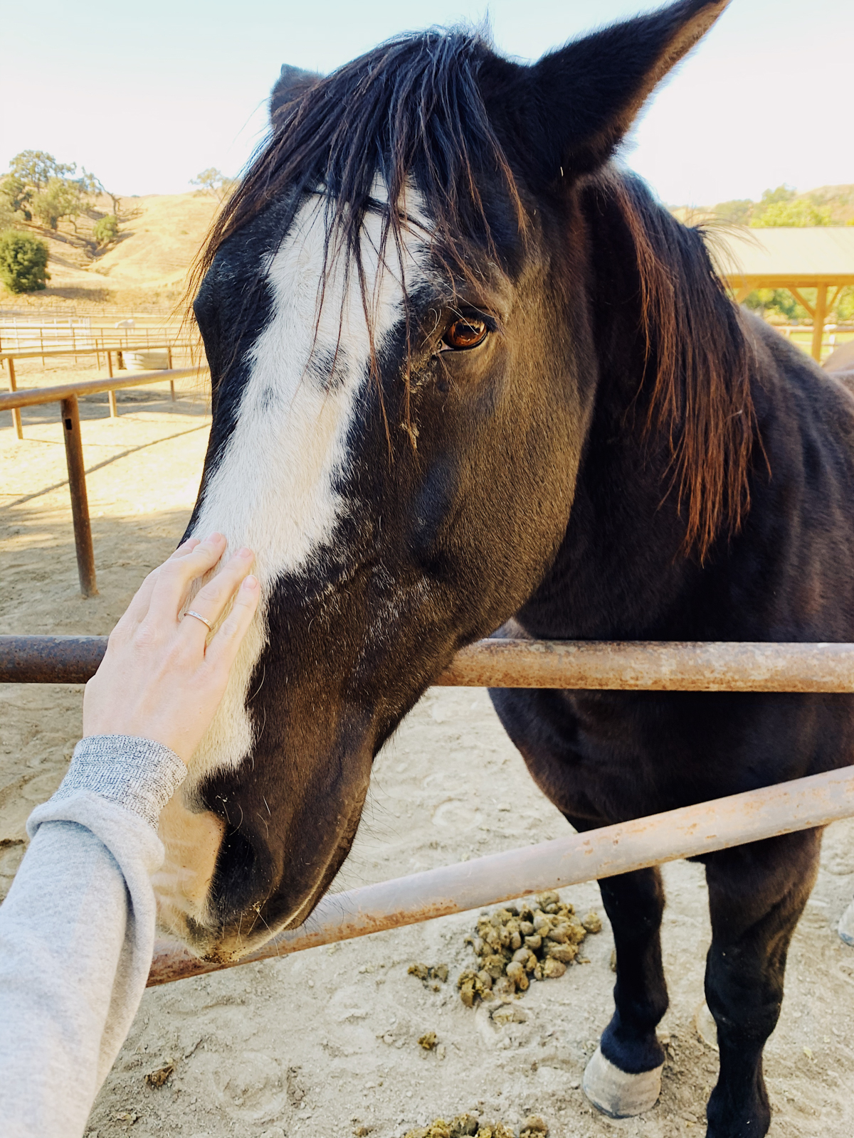 Kids barnyard at Alisal Guest Ranch and Resort 